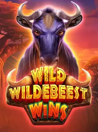 Wild Wildebeest Wins